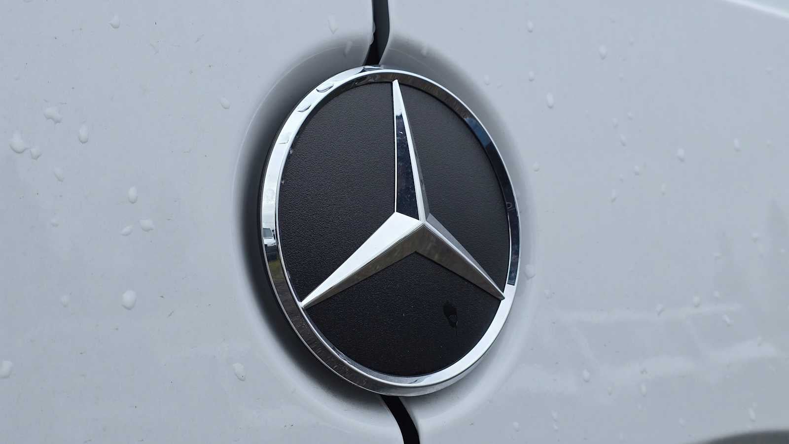 2025 Mercedes-Benz Sprinter 2500 Standard Roof I4 Diesel 144" RWD