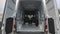2026 Mercedes-Benz Sprinter 2500 Standard Roof I4 Diesel HO 144" AWD