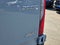 2026 Mercedes-Benz Sprinter 2500 Standard Roof I4 Diesel HO 144" AWD